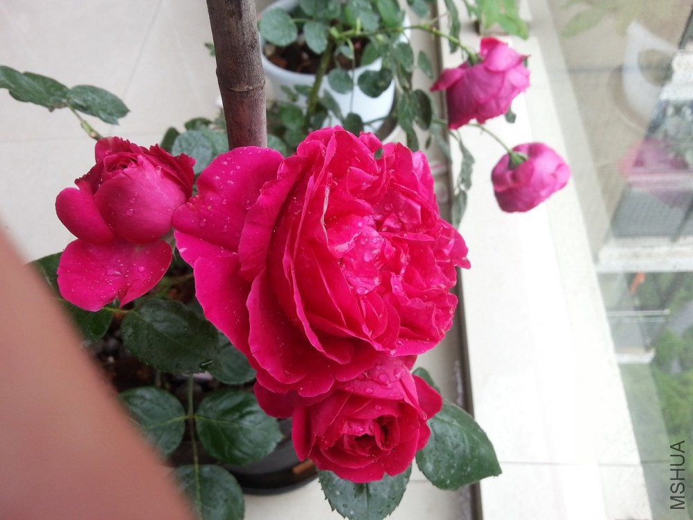 20140511_112203.jpg