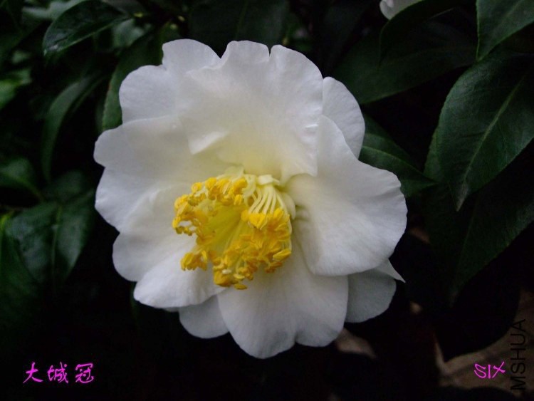 ��ǹ�  10-3-1(1).jpg