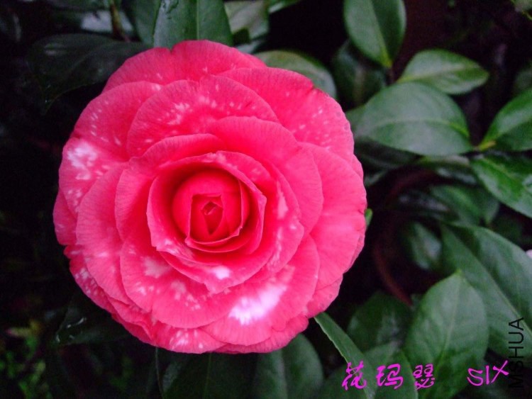 ����ɪ 10-3-2(1).jpg