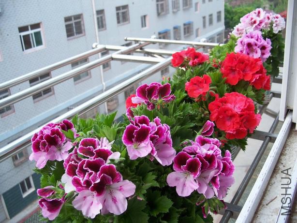 100_4693.JPG