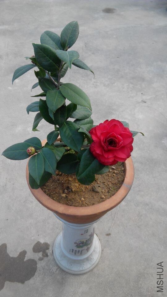 QQͼƬ20150115113103.jpg