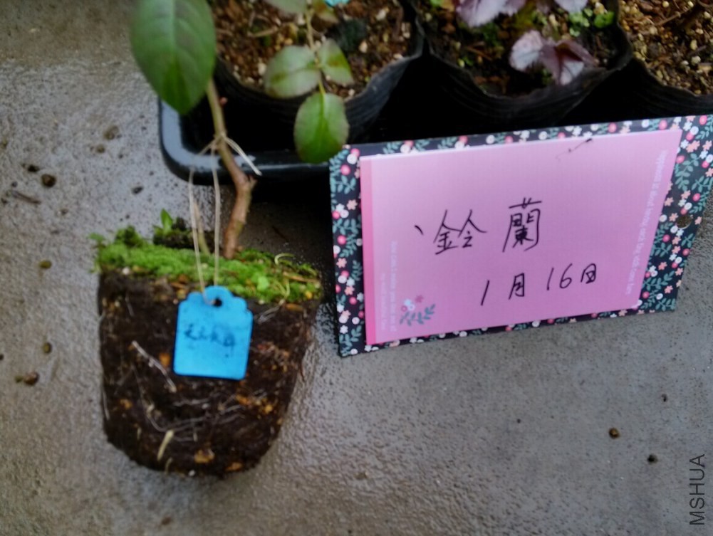 �簡��.jpg