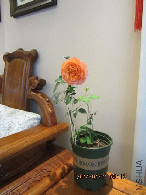 ��������ɫ�ر��������㡣