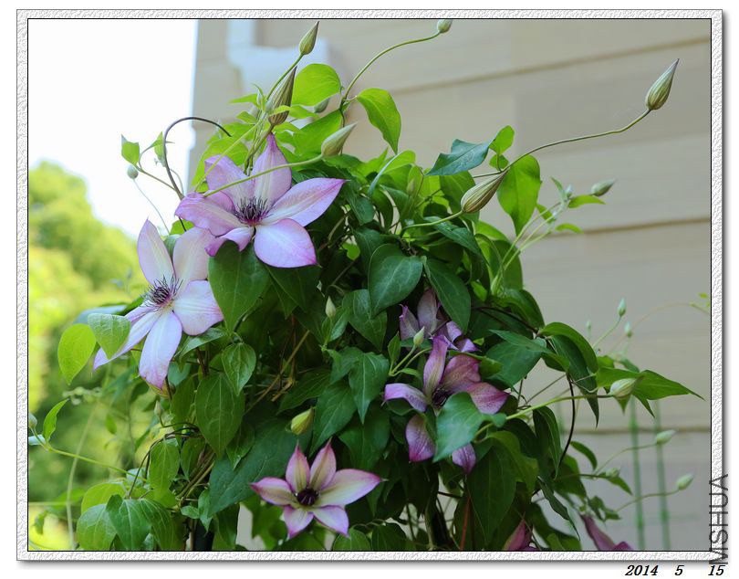 2014051502.jpg