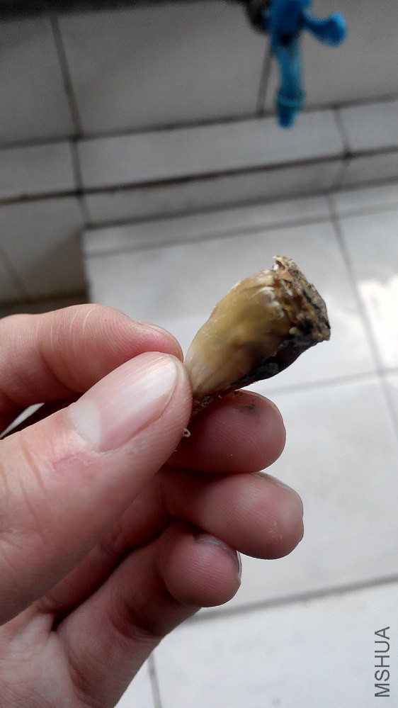 20141219161757.jpg