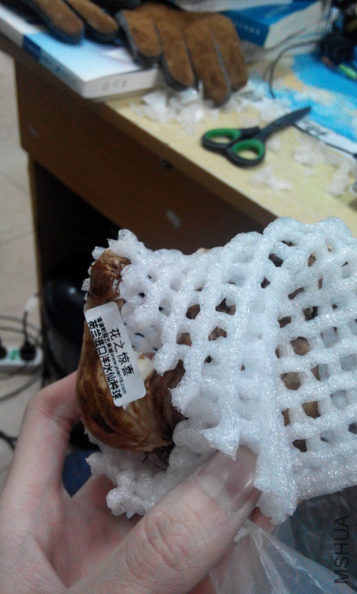 20141226125928.jpg