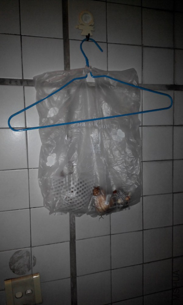 20141226220008.jpg