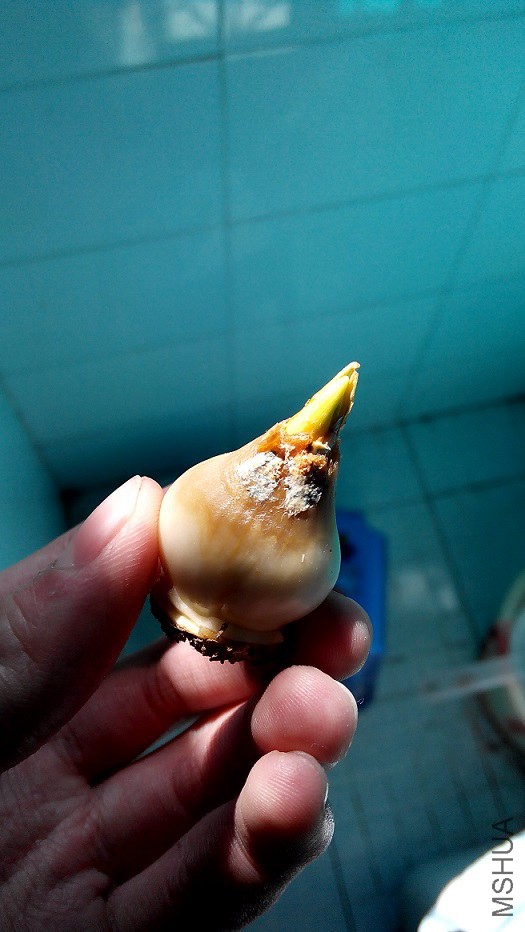 20150115140509.jpg