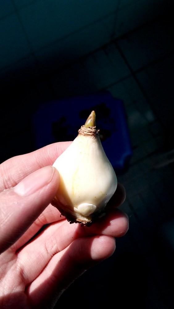 20150115140530.jpg