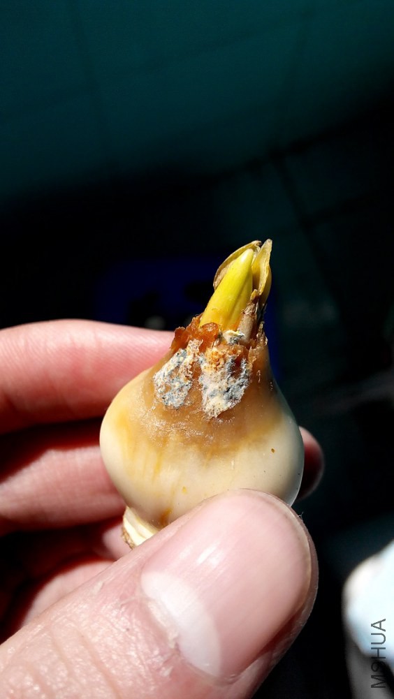 20150115140542.jpg