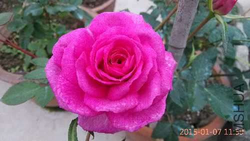 IMG_20150107_115859.jpg