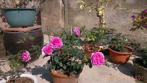 IMG_20150115_130751.jpg