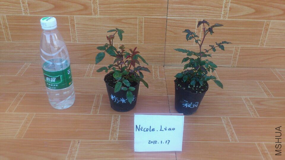 QQͼƬ20150117092443.jpg