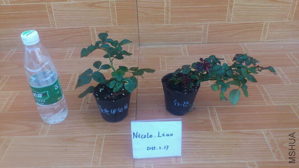QQͼƬ20150117092502.jpg