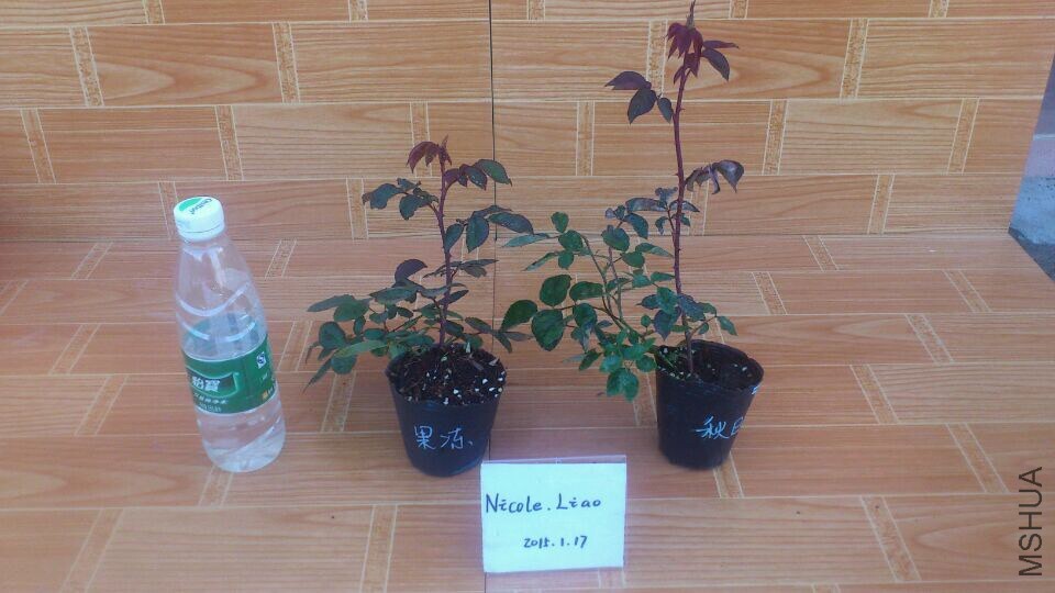QQͼƬ20150117092510.jpg