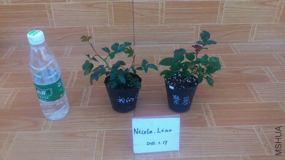 QQͼƬ20150117092517.jpg