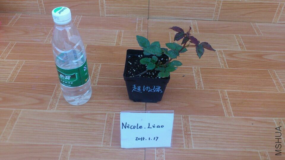 QQͼƬ20150117092522.jpg