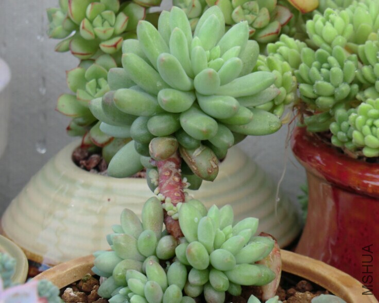 QQͼƬ20150117143701.jpg