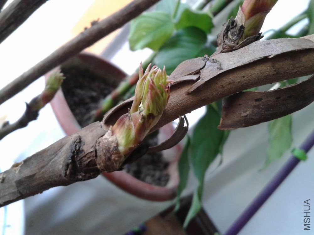 ������С 20150117_151542.jpg