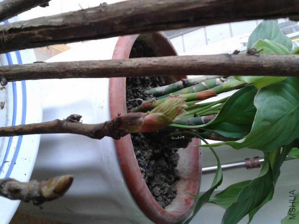 ������С 20150117_151552.jpg