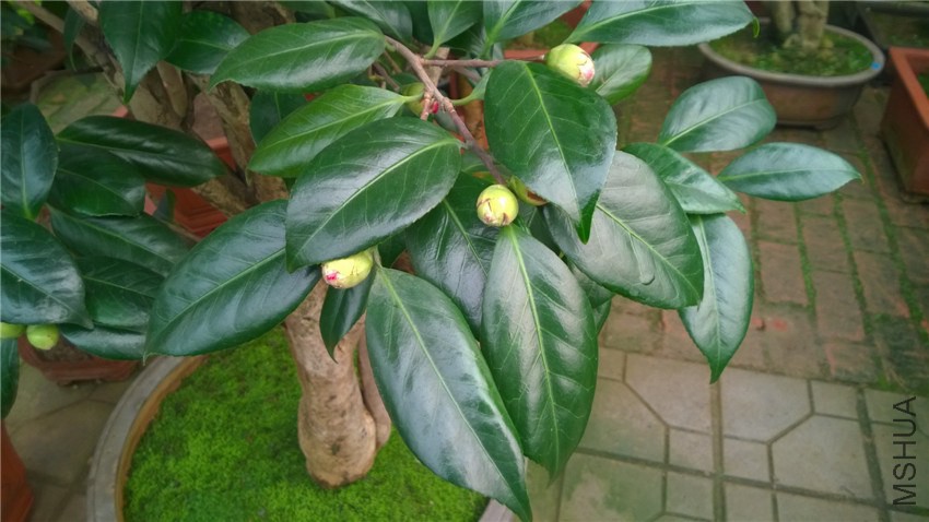 ������4 (1).jpg