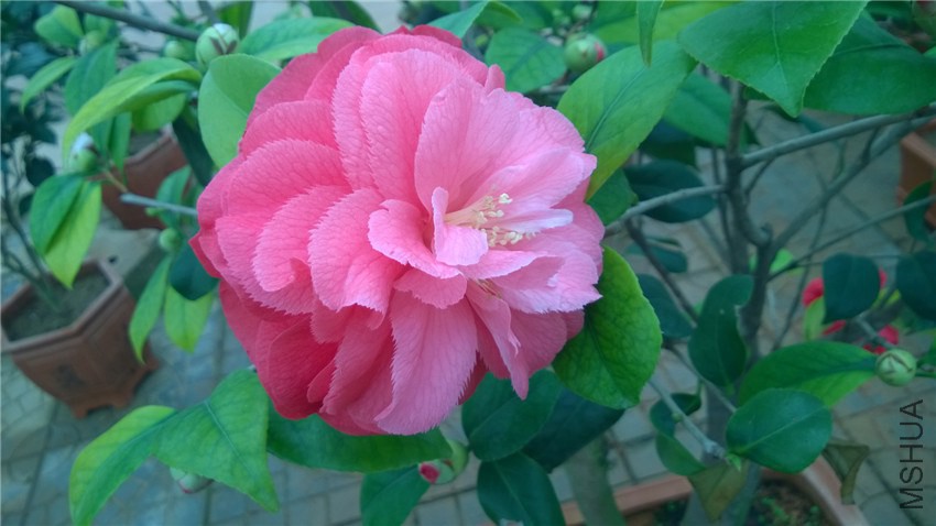 ������ ��.jpg