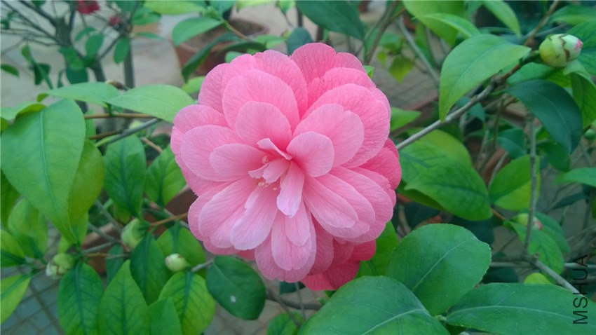 ������ �� (1).jpg