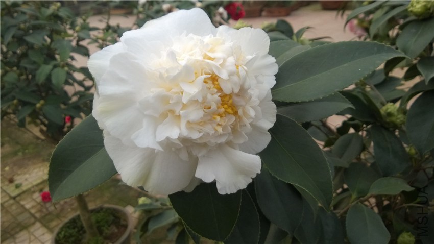 ���� (2).jpg