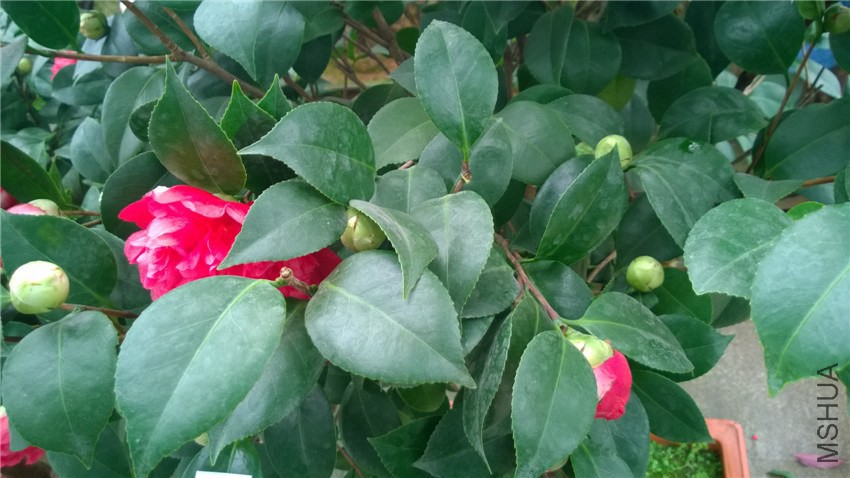 ����ī��ĵ��3 (2).jpg