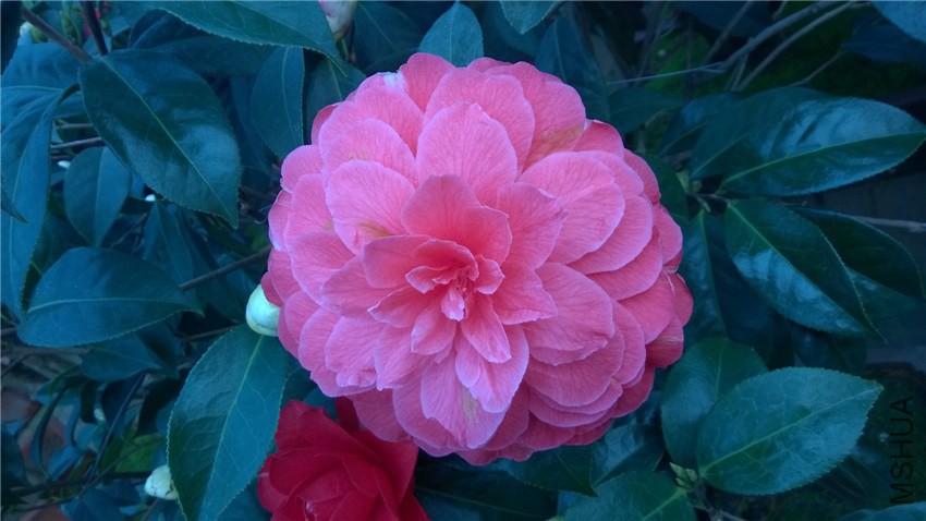 ����4 (2).jpg