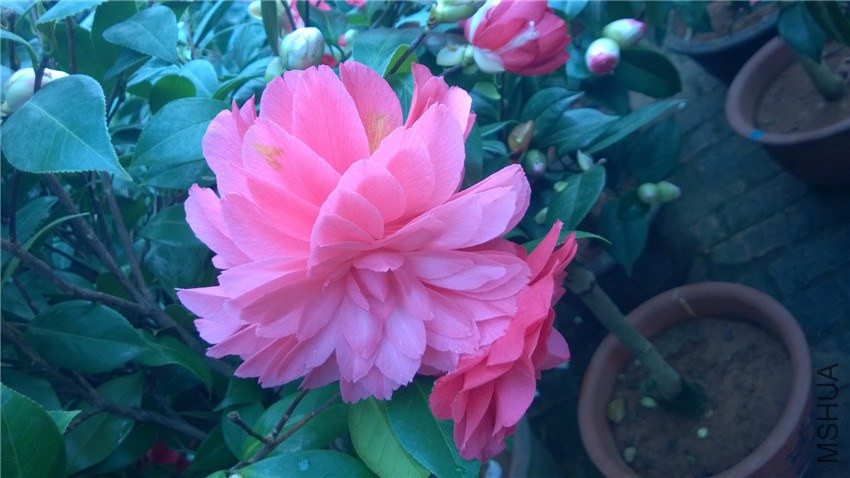 ����8 (1).jpg