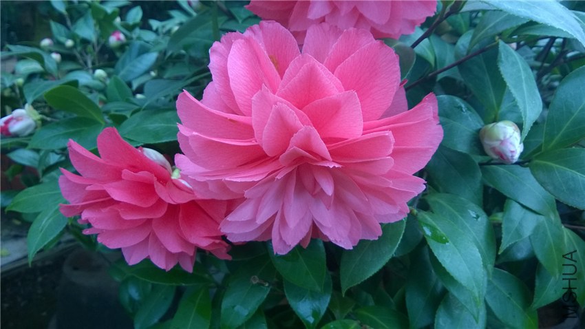 ����8 (2).jpg