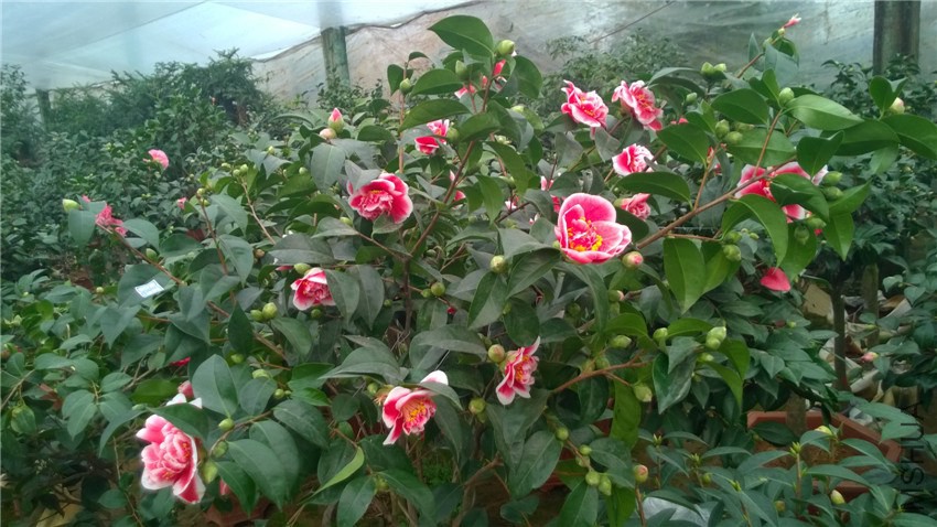 ������2 (1).jpg