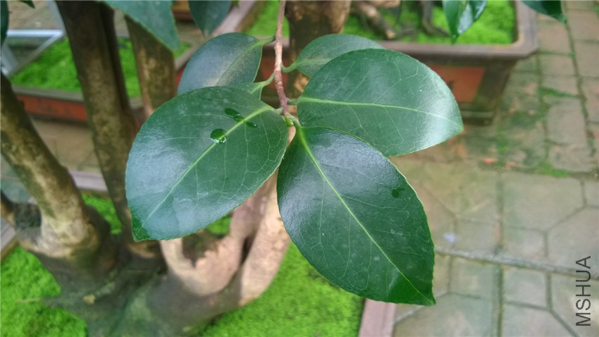 ������� (1).jpg