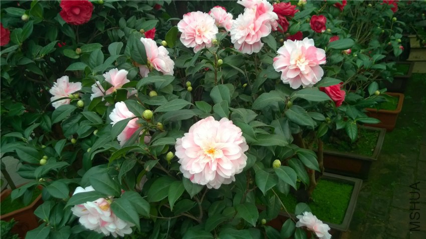 ����3 (1).jpg