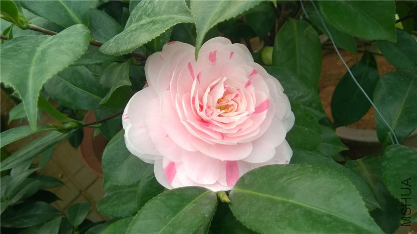 ����7 (1).jpg