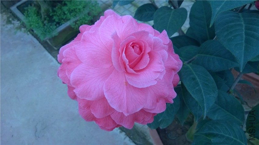 ���˽� (1).jpg