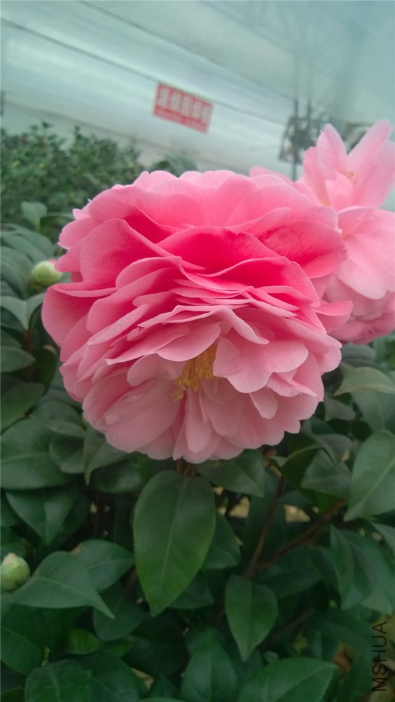 ���˽� (3).jpg