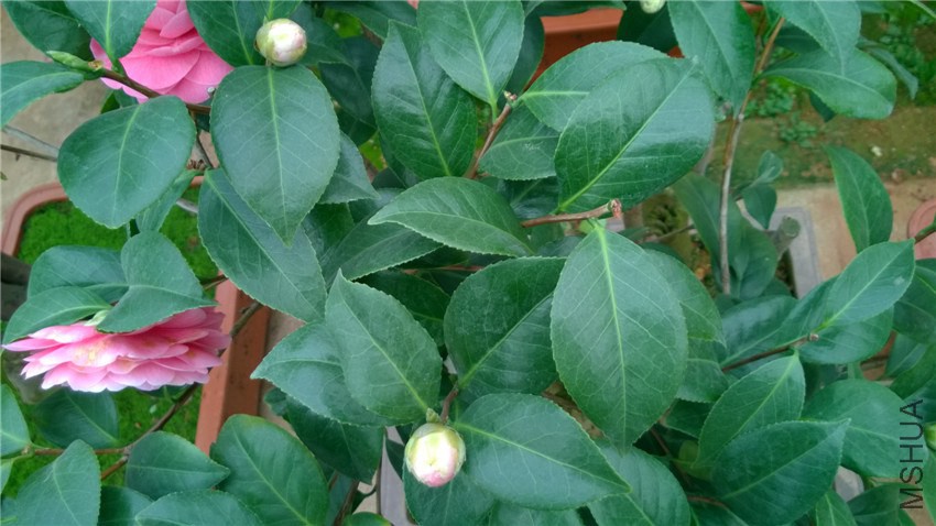 ����5 (1).jpg