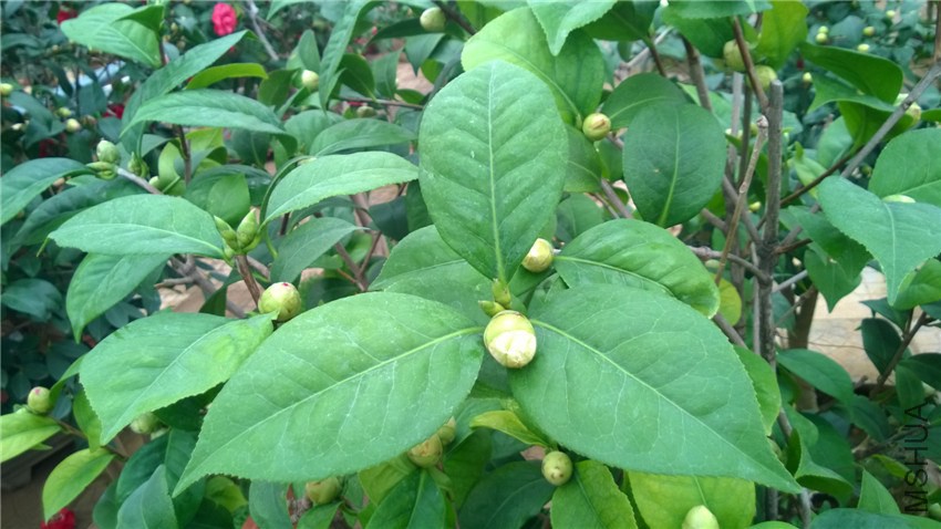 ����6 (1).jpg