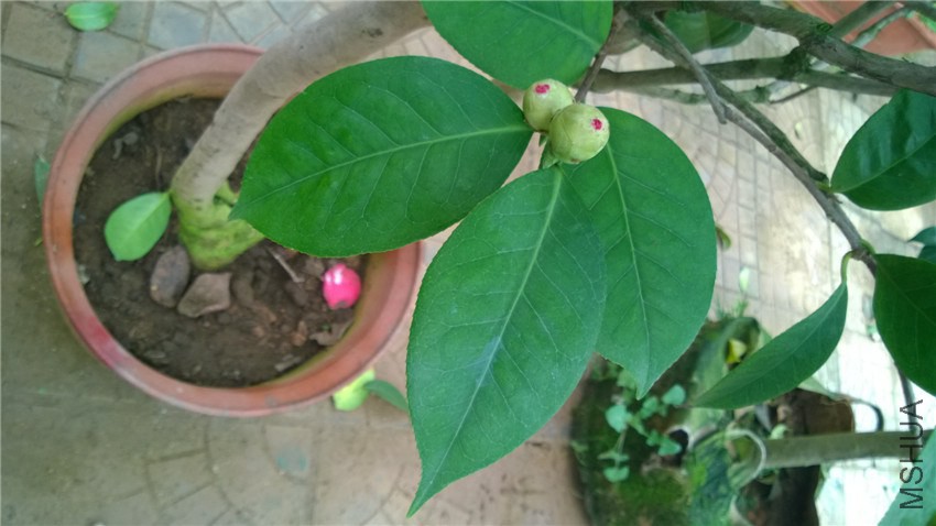 ����6 (2).jpg