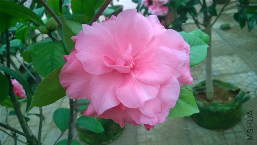 ����6 (3).jpg