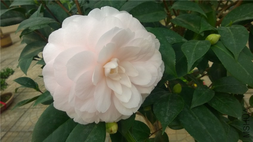 ����1 (1).jpg