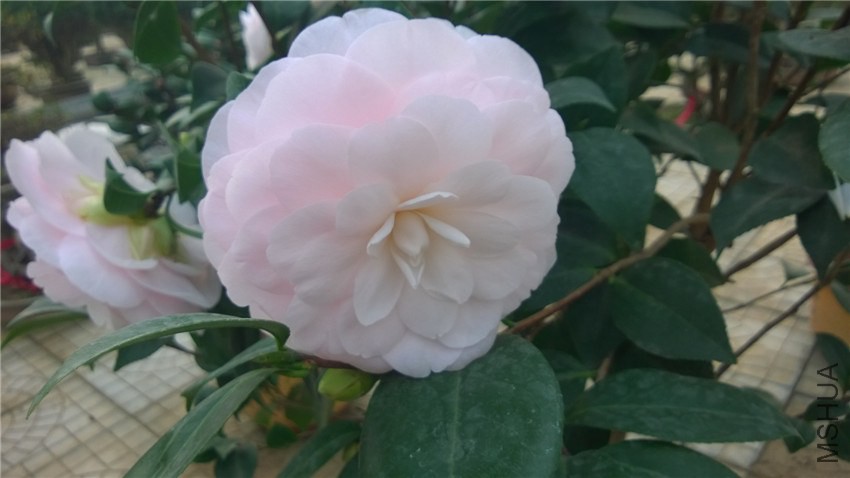 ����1 (2).jpg