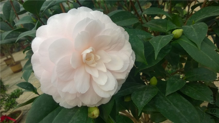 ���� (1).jpg