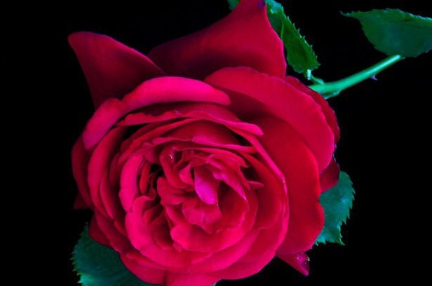 QQ��ͼ20150117161459.jpg