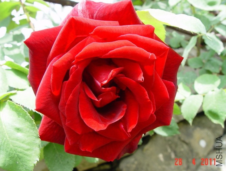 QQ��ͼ20150117161616.jpg