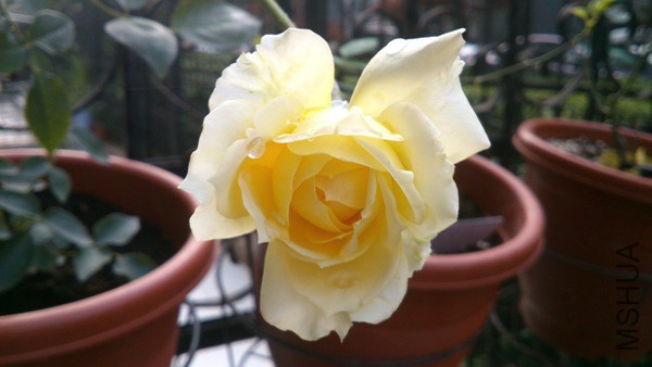 DSC_0484.jpg