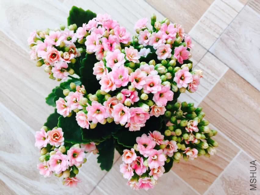 �۷ָ���