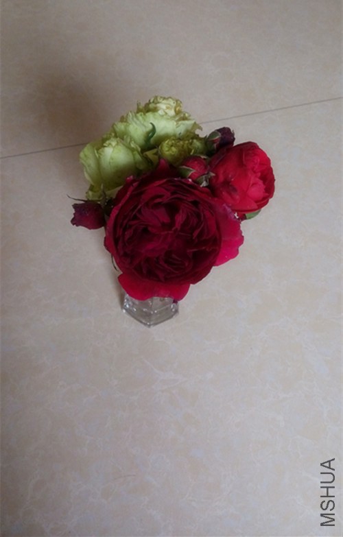 ƿ���˺ü����˺�����ͼ�ǳ���Ӵ..